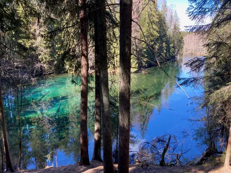 Kiikku spring (Kiikunlähde)