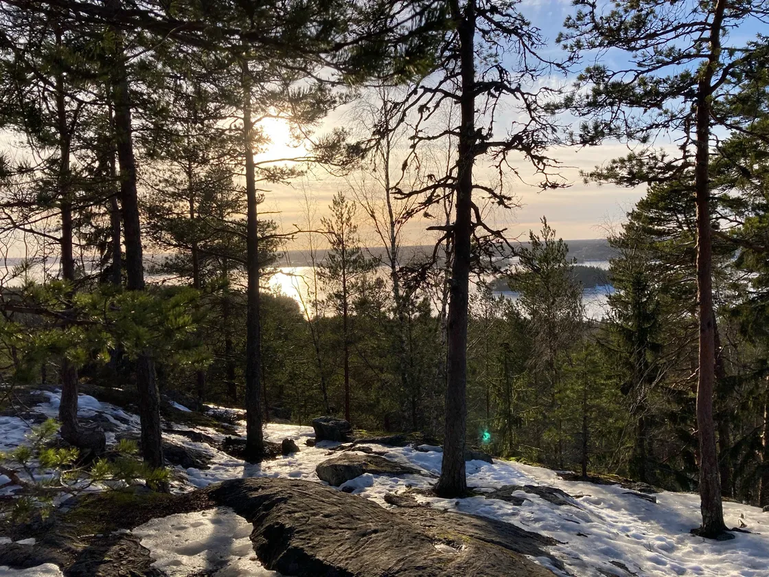 cover for Pirunvuori